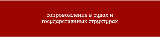сопровождение в судах и государственных структурах